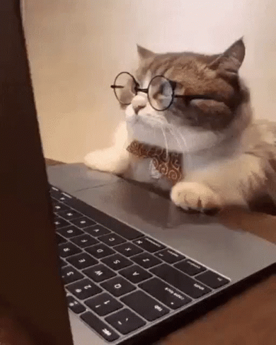 Computer cat wearing glasses at a laptop